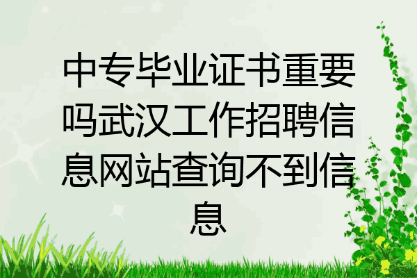 中专毕业证书重要吗武汉工作招聘信息网站查询不到信息