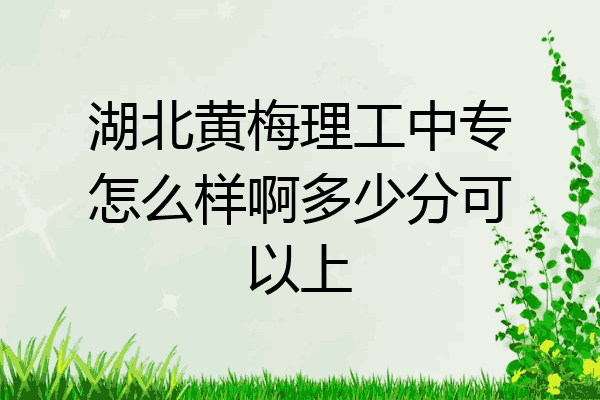 湖北黄梅理工中专怎么样啊多少分可以上