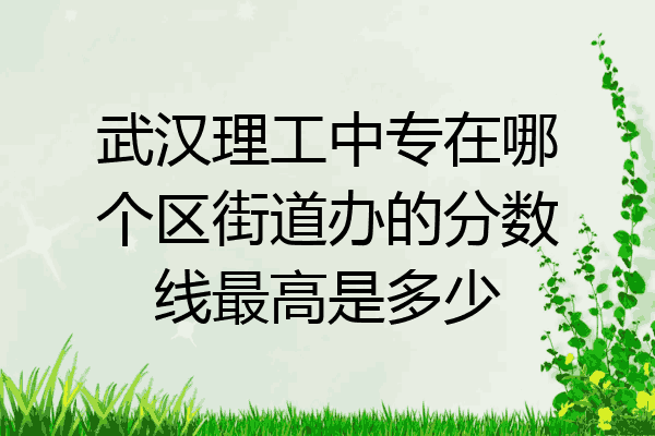 武汉理工中专在哪个区街道办的分数线最高是多少