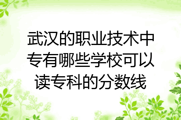 武汉的职业技术中专有哪些学校可以读专科的分数线