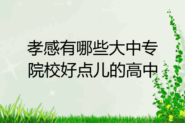孝感有哪些大中专院校好点儿的高中