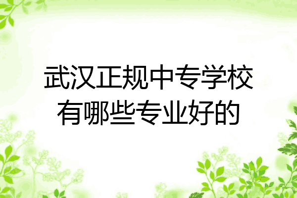 武汉正规中专学校有哪些专业好的