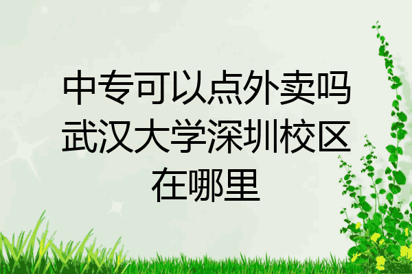 中专可以点外卖吗武汉大学深圳校区在哪里