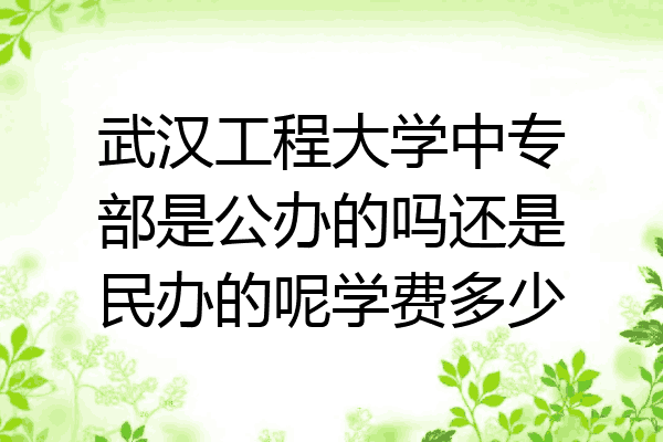 武汉工程大学中专部是公办的吗还是民办的呢学费多少