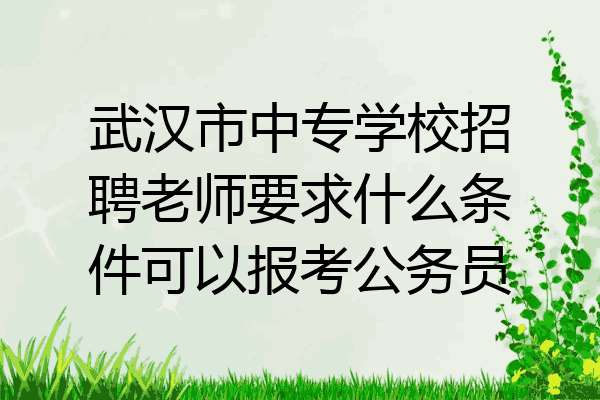 武汉市中专学校招聘老师要求什么条件可以报考公务员