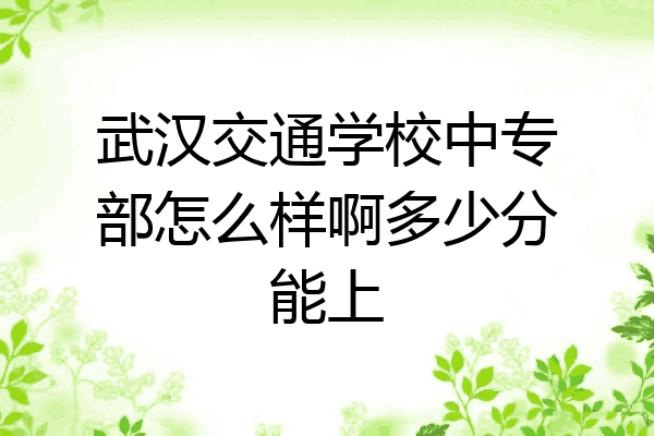 武汉交通学校中专部怎么样啊多少分能上