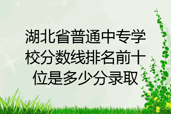湖北省普通中专学校分数线排名前十位是多少分录取
