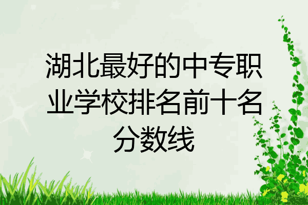 湖北最好的中专职业学校排名前十名分数线