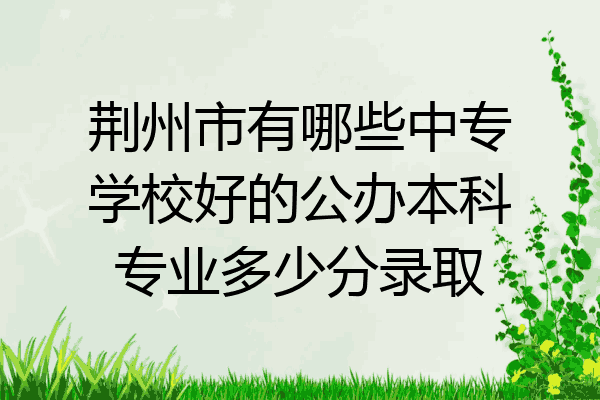 荆州市有哪些中专学校好的公办本科专业多少分录取