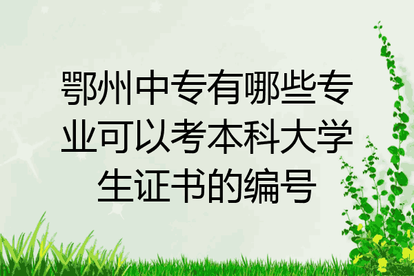 鄂州中专有哪些专业可以考本科大学生证书的编号