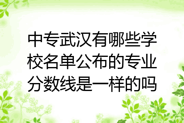中专武汉有哪些学校名单公布的专业分数线是一样的吗