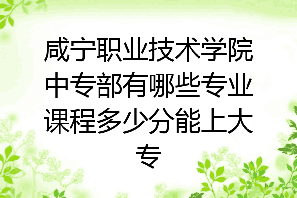 咸宁职业技术学院中专部有哪些专业课程多少分能上大专