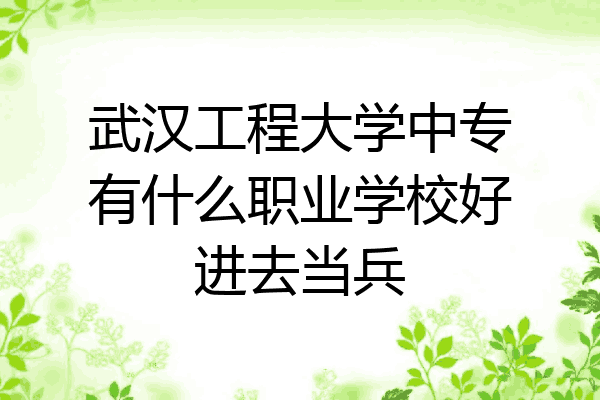 武汉工程大学中专有什么职业学校好进去当兵