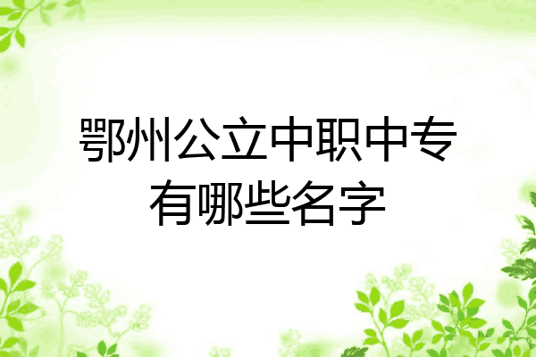 鄂州公立中职中专有哪些名字