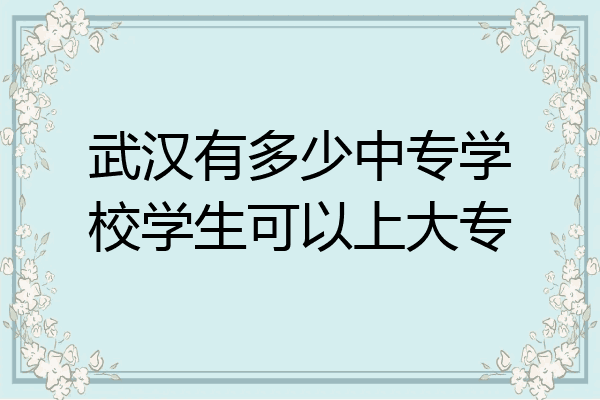 武汉有多少中专学校学生可以上大专