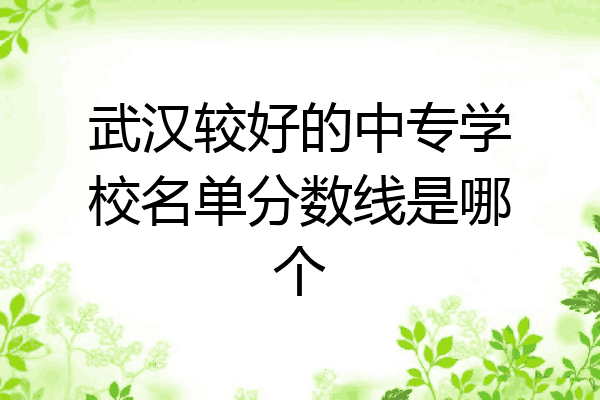 武汉较好的中专学校名单分数线是哪个
