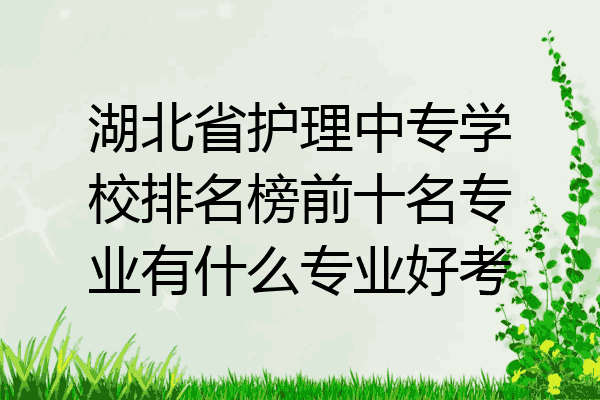 湖北省护理中专学校排名榜前十名专业有什么专业好考