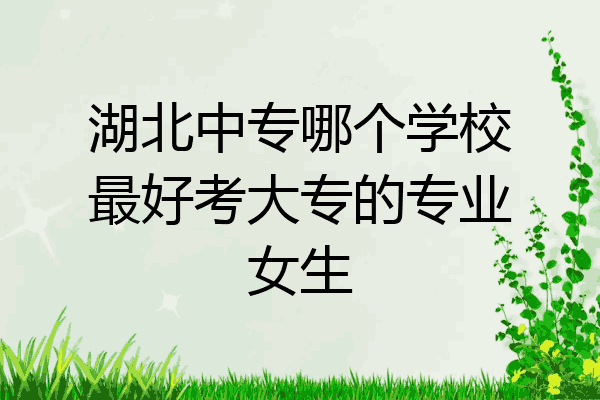 湖北中专哪个学校最好考大专的专业女生
