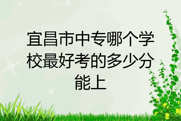 宜昌市中专哪个学校最好考的多少分能上