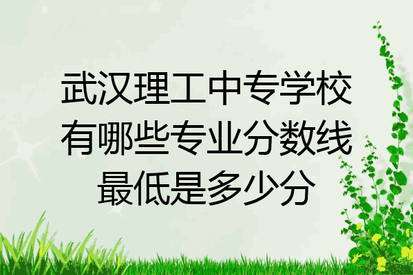 武汉理工中专学校有哪些专业分数线最低是多少分