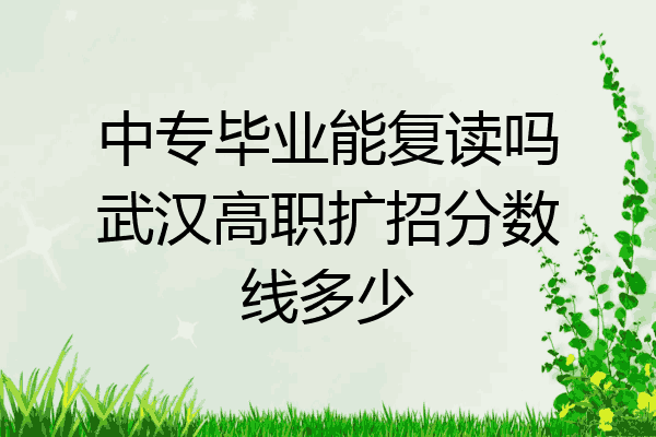 中专毕业能复读吗武汉高职扩招分数线多少