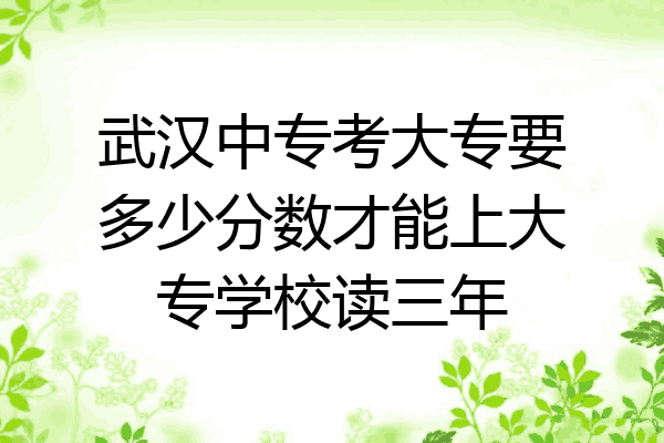 武汉中专考大专要多少分数才能上大专学校读三年