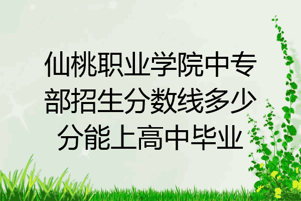 仙桃职业学院中专部招生分数线多少分能上高中毕业