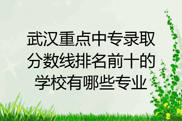 武汉重点中专录取分数线排名前十的学校有哪些专业