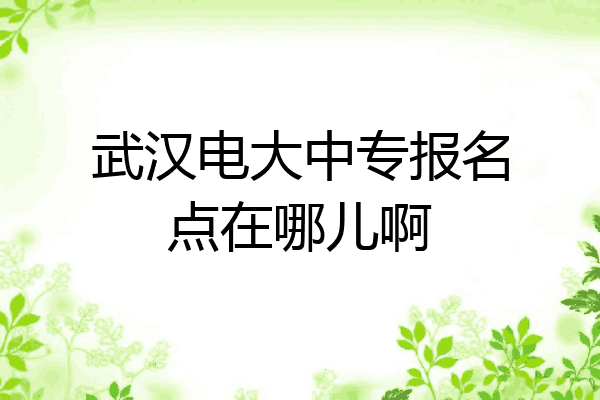 武汉电大中专报名点在哪儿啊