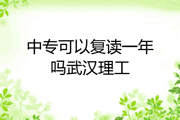 中专可以复读一年吗武汉理工