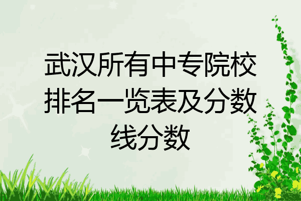 武汉所有中专院校排名一览表及分数线分数