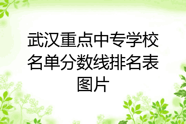 武汉重点中专学校名单分数线排名表图片