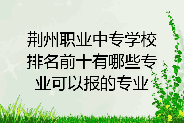 荆州职业中专学校排名前十有哪些专业可以报的专业