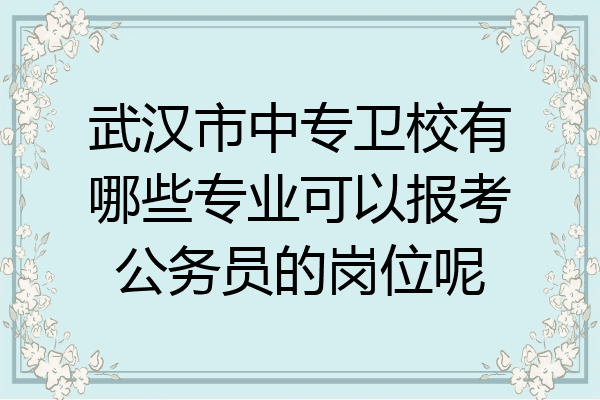武汉市中专卫校有哪些专业可以报考公务员的岗位呢