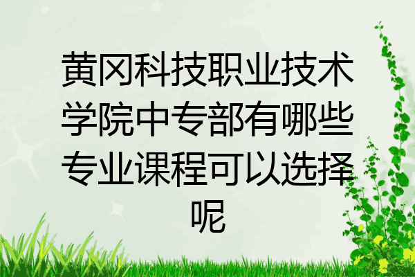 黄冈科技职业技术学院中专部有哪些专业课程可以选择呢