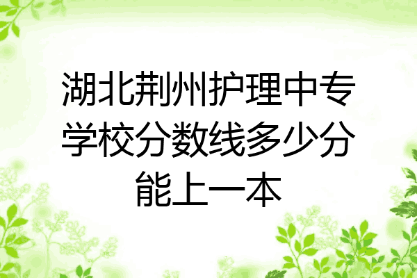 湖北荆州护理中专学校分数线多少分能上一本