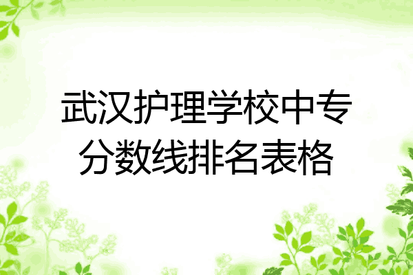 武汉护理学校中专分数线排名表格