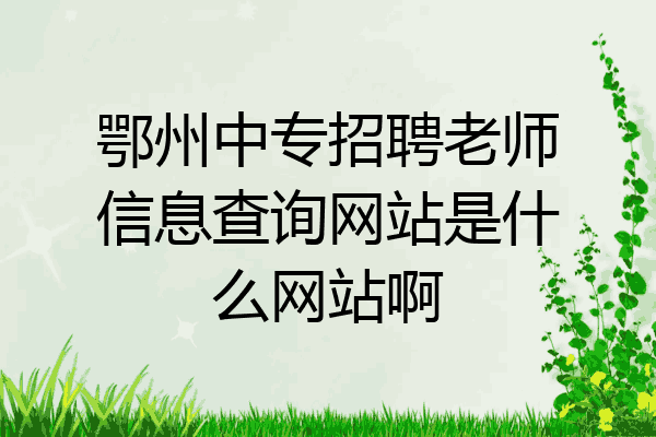 鄂州中专招聘老师信息查询网站是什么网站啊