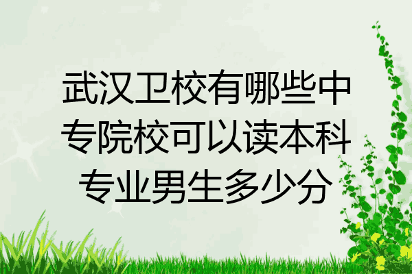 武汉卫校有哪些中专院校可以读本科专业男生多少分