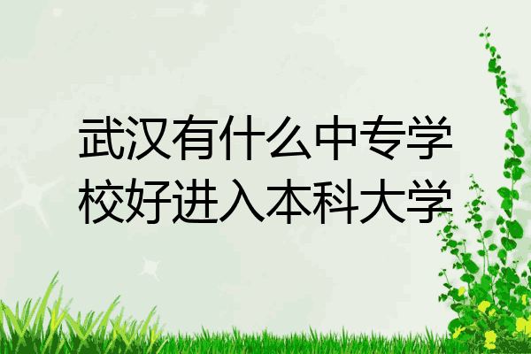 武汉有什么中专学校好进入本科大学