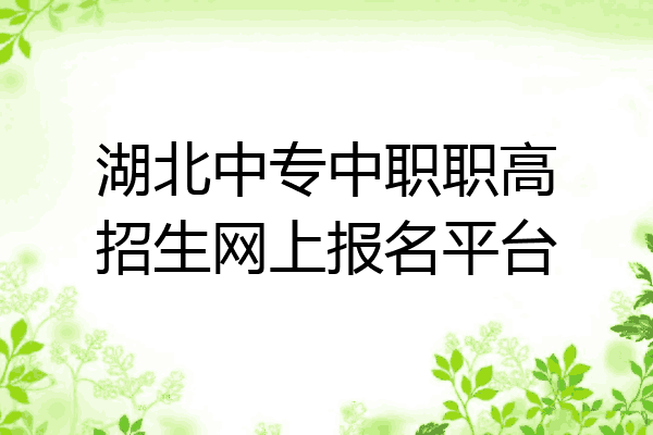 湖北中专中职职高招生网上报名平台