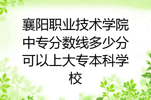 襄阳职业技术学院中专分数线多少分可以上大专本科学校