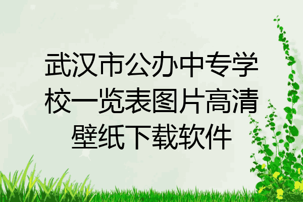 武汉市公办中专学校一览表图片高清壁纸下载软件