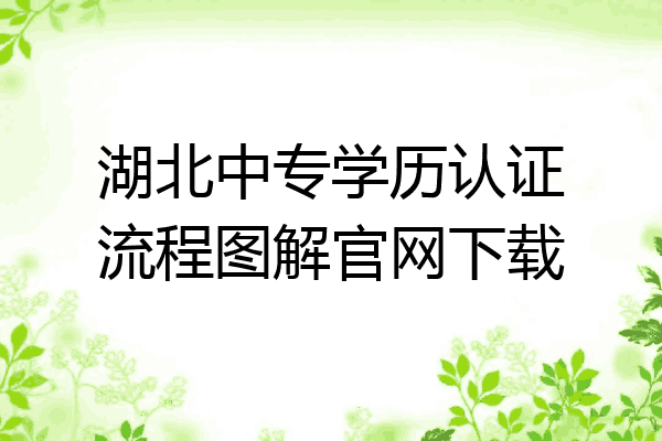 湖北中专学历认证流程图解官网下载