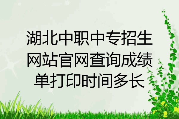 湖北中职中专招生网站官网查询成绩单打印时间多长
