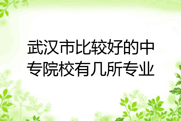 武汉市比较好的中专院校有几所专业