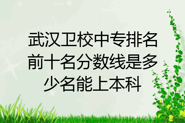 武汉卫校中专排名前十名分数线是多少名能上本科