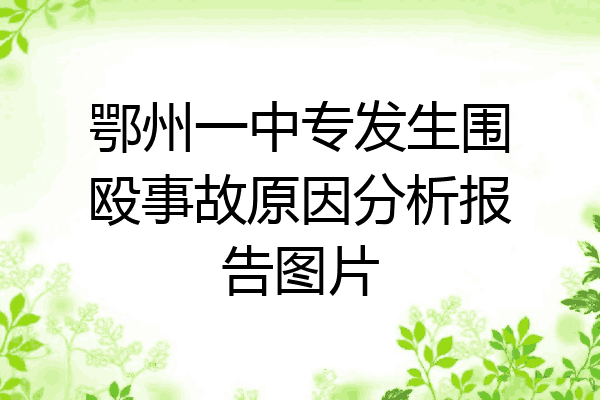 鄂州一中专发生围殴事故原因分析报告图片