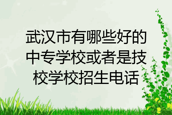 武汉市有哪些好的中专学校或者是技校学校招生电话