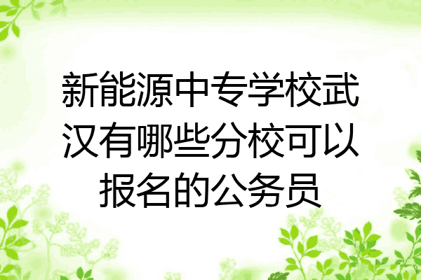 新能源中专学校武汉有哪些分校可以报名的公务员